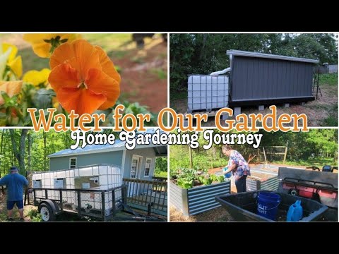 Getting water to our garden patch. / Water Catching System / Home Gardening Journey