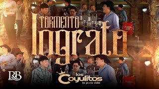 Banda Los Coyulitos - Tormento Ingrato [Official Video] 2024