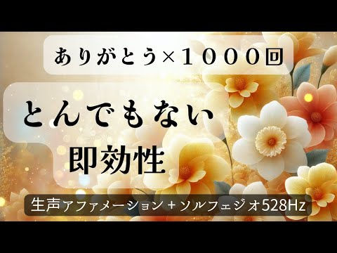 【ありがとうの言霊1000回】生声アファメーション＋ソルフェジオ周波数528Hz｜奇跡が起きる｜潜在意識浄化｜願望実現｜