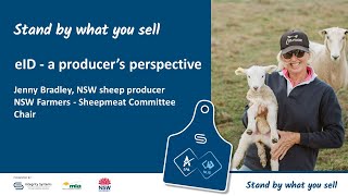 WEBINAR: NSW sheep producer Jenny Bradley talks sheep eID