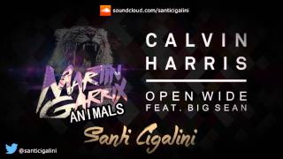 Martin Garrix - Animals .vs. Open Wide - Calvin Harris (santicigalini Mashup)