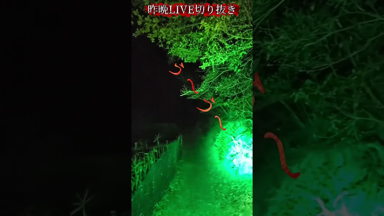 霊障が酷すぎトンネル工事中断した心霊雑誌掲載場所がヤバ過ぎる #shorts