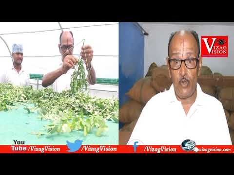 Delhi Metro Train Services in Delhi,Vizag Vision News...