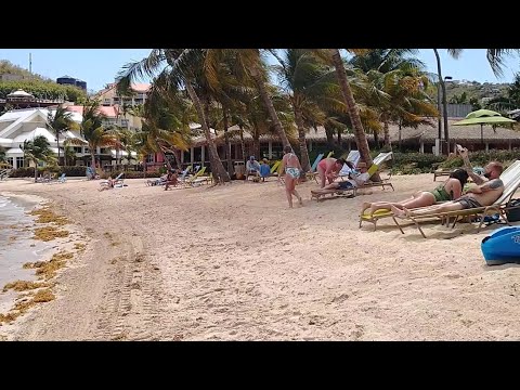 Virgin Islands - Margaritaville - March 8th 2021 - St. Thomas, USVI