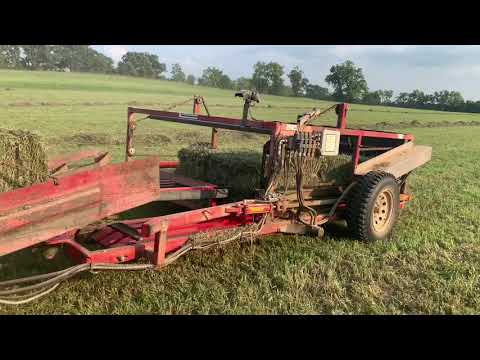 Bailing Alfalfa with a Stephen Accumulator