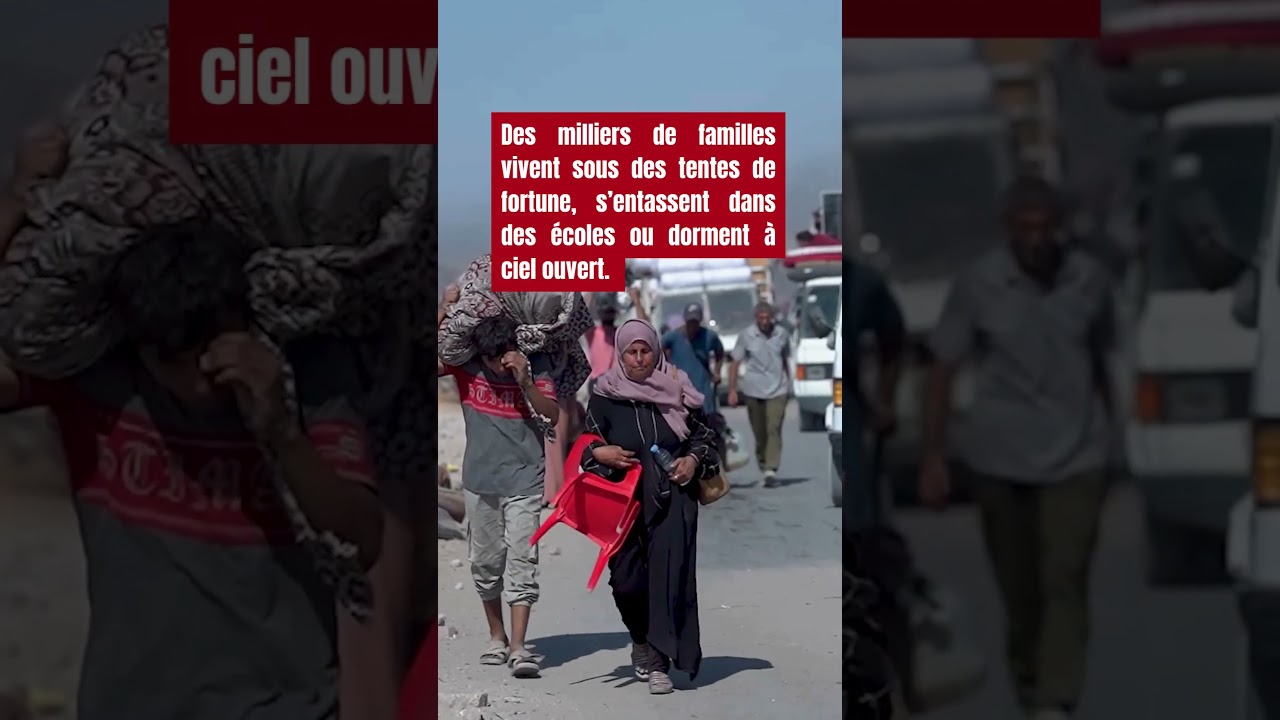 2 ans de guerre à Gaza | Fuir pour survivre