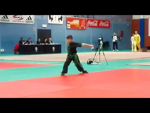 WUSHU TRADICIONAL 2017 1