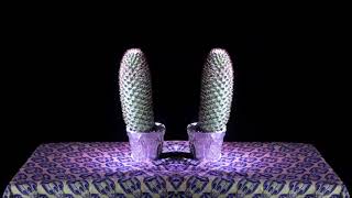 SNAPPED ANKLES // Hanging With The Moon