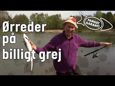 BILLIGT GREJ // FANGSTGARANTI