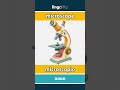 microscope - microscopio video thumbnail