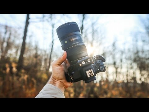 Video thumbnail for Video Review 3