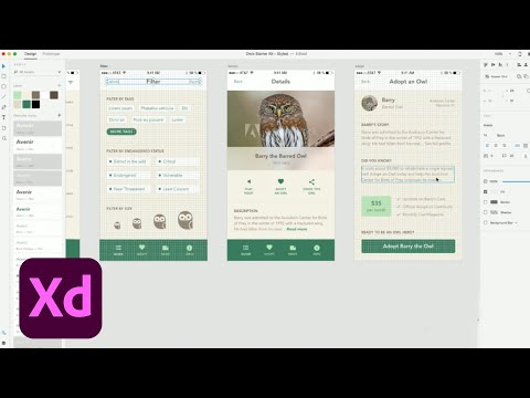 Live UI/UX Design with Meagan Fisher - 3 of 3 | Adobe Creative Cloud