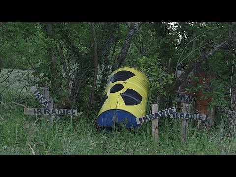 Szeretem a sült férgeket férgeket kínoztak
