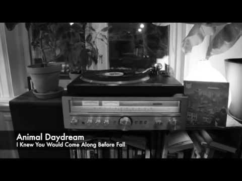 Animal Daydream  - I Knew You Would Come Along Before Fall