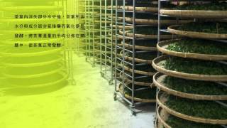 preview picture of video '梨山茶製作 Lishan Tea process -by Kumy tea plantation'
