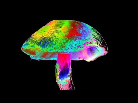 Psicodelia Lirical II