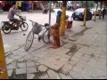 Koira vartioi polkupyörää