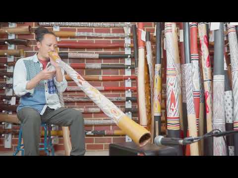 Marikuku Wirrpanda Yidaki - key of D (5204)