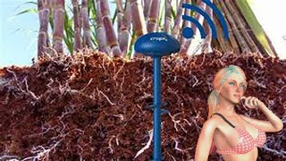 Introduction: thermal inertia of unsaturated soil