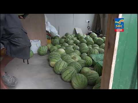 7 p.m News 29-08-2022