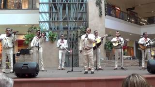 Mariachi Fiesta Valle del Sol - 