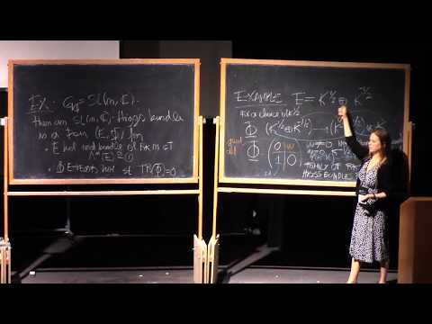 Laura P. Schaposnik 1.2, Advanced topics in (mathematical) gauge theory / Higgs bundles (IAS | PCMI)