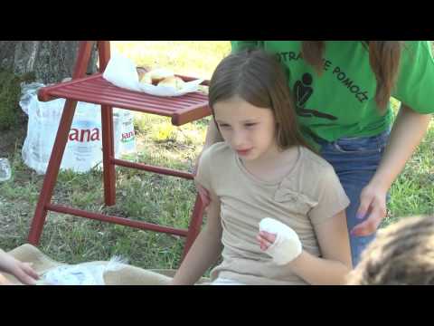 Kronike Velike Gorice tjednik 10.6.2017