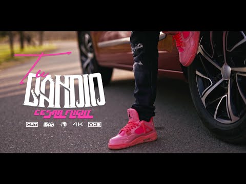 TU BANDIO - Cesar Flight [Prod Adkiboi x CamMusicBeat] (Video Oficial)
