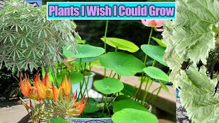 Plants I Wish I Could Grow