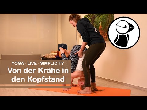 YOGA von der Kraehe in den Kopfstand Video Nr. 37 - YOGA Live Simplicity