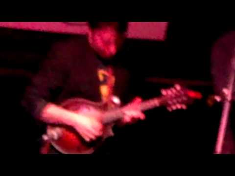 Plectophilia (Gator Strut)