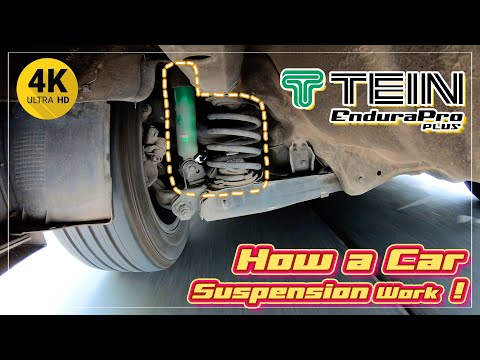(4K) How a car suspension system works TEIN Endura Pro Plus for CIVIC