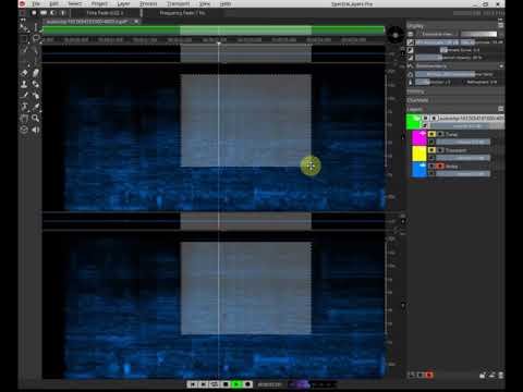 SpectraLayers Pro 7 - removing vocal distortion