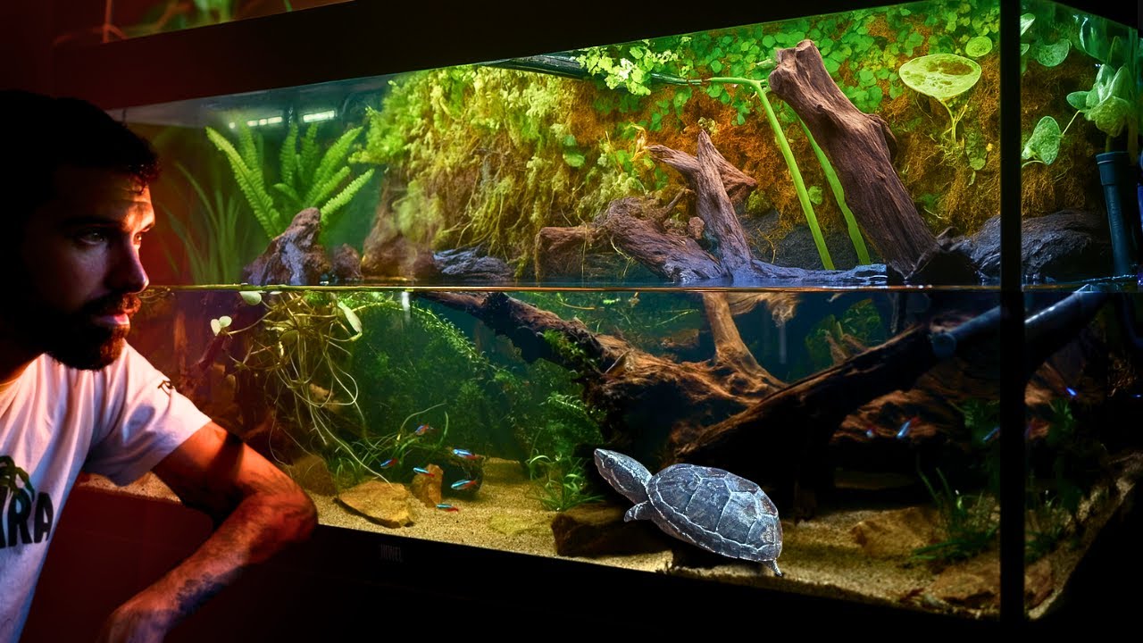 I Built a Pond Aquarium For a Musk Turtle 
