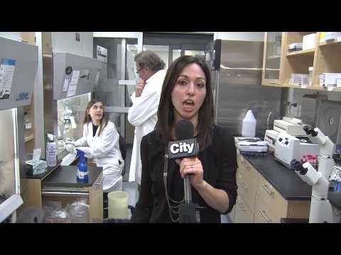 Stem cell breakthrough holds promise for treating blindness, Alzheimer’s