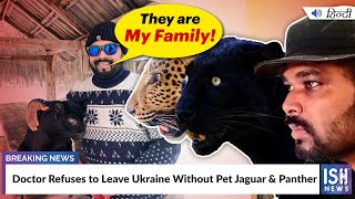 Doctor Refuses to Leave Ukraine Without Pet Jaguar & Panther