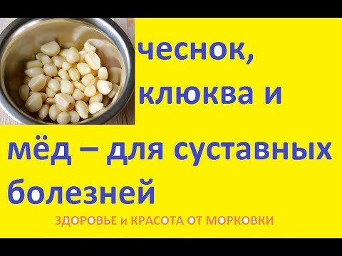 Если у лошади хрустят суставы Остеохондроз фонетический разбор