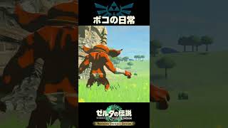 ボコの日常【ゼルダの伝説ティアーズオブザキングダム】