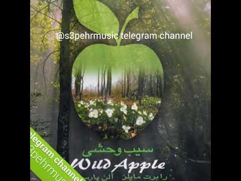 Robert miles - overwhelm