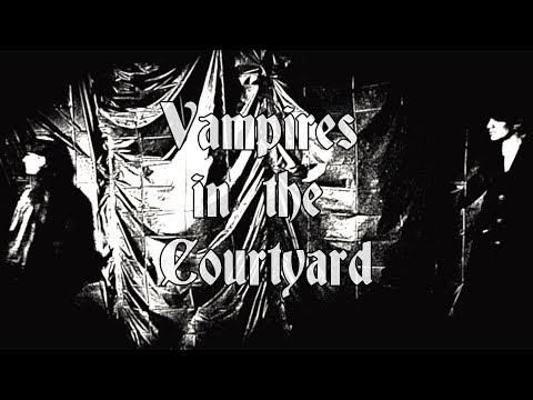 Vampires in the Courtyard - The Living Skins (Music Video)