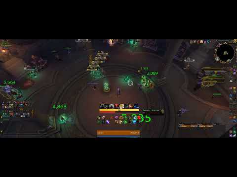 Adaptive Swarm Test on Feral Druid