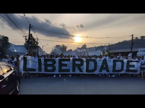 Mancha Verde / Liberdade - MC Lenin