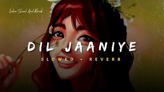 Dil Jaaniye - Jubin Nautiyal Song  Slowed And Reve
