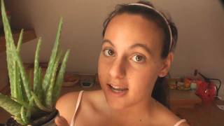 How to Use An Aloe Vera Plant For Skin Care