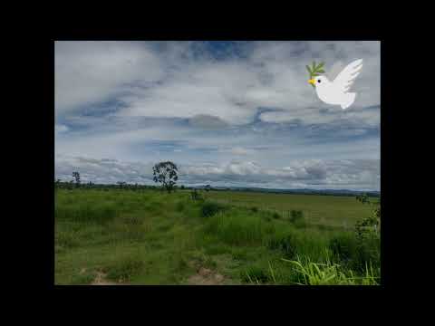 Carretera hacia Dolores, Petén MXC F18092025 HRS00:00AVISO