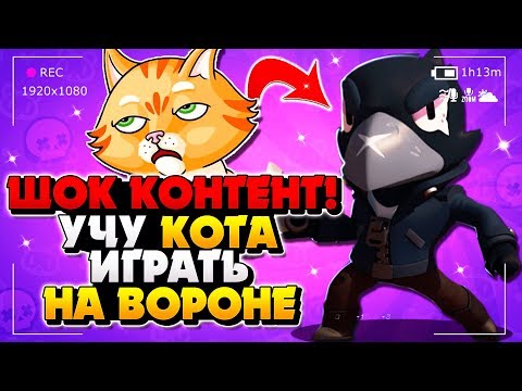 ВОРОН САМЫЙ ЛУЧШИЙ ГАЙД \ КРОУ КАК НАУЧИТЬСЯ ИГРАТЬ НА ВОРОНЕ ГАЙД Бравл Старс / BRAWL STARS