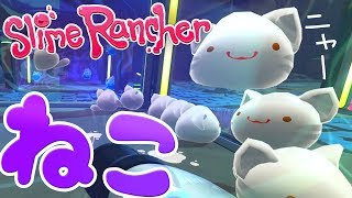 【Slime Rancher】#4 ぼく、ネコ型スライム～！【スライムランチャー】