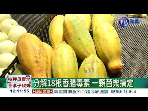 分解致癌亞硝酸鹽 芭樂最強