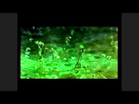 Çdo njeri është tregtar i vetës së tij  / Hadithi 23