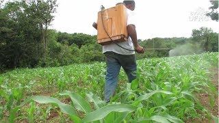 Miniatura do vídeo